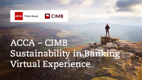 Sustainability in Banking Virtual Experience