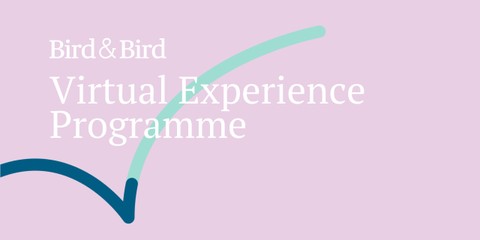 Virtual Experience Programme